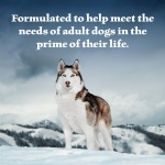 Blue Buffalo Wilderness Adult Wet Dog Food, High-Protein & Grain-Free, Made with Natural Ingredients, Beef & Chicken Grill, 12.5-oz. Cans, 12 Count - Image 9