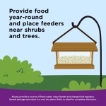 Kaytee Nut & Fruit Wild Bird Seed, 5 lb - Image 7