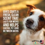 Showseason Animal Products South Bark's Blueberry Clove Dog Cologne | Dog Perfume Long Lasting | Deodorizing Spray - Image 3