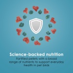 Kaytee Forti-Diet Pro Health Nourish+Protect Parakeet Food, Comprehensive Nutrition Backed by Science, Digestive Health, Immune Support, 2 pounds - Image 8