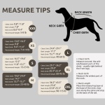 Queenmore XXS Dog Sweaters, Soft Fleece Vest Pullover Dog Jacket with Leash Hole, Warm Winter Dog Clothes Cold Weather Doggy Dachshund Sweater for Small Dogs Cats Boy or Girl (Red, XXS) - Image 7