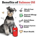 Salmon Oil for Dogs & Cats - Healthy Skin & Coat, Fish Oil, Omega 3 EPA DHA, Liquid Food Supplement for Pets, All Natural, Supports Joint & Bone Health, Natural Allergy & Inflammation Defense, 32 oz - Image 7