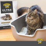 Dr. Elsey's Ultra+ Clumping Clay Cat Litter 40 lb. Bag - Image 4