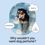 DedCool Pet Fragrance 01 Taunt | Luxury Pet Perfume & Grooming Spray for Dogs, Cats & Puppies | Long Lasting Pet Deodorizer & Indoor Odor Eliminator | Clean, Non-Toxic, Vegan, Eco-Friendly | 8.5 fl oz - Image 2