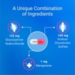Nutramax Cosequin for Cats Joint Health Supplement, Contains Glucosamine for Cats, Plus Chondroitin, and Omega-3s, Supports Joint and Skin and Coat Health, Sprinkle Capsules, 80 Count - Image 5