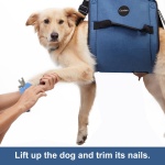 COODEO Dog Carry Sling, Emergency Backpack Pet Legs Support & Rehabilitation Dog Lift Harness for Nail Trimming, Dog Carrier for Senior Dogs Joint Injuries, Arthritis, Up and Down Stairs (M, Blue) - Image 2
