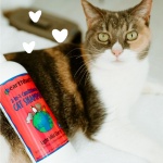 earthbath, Wild Cherry 2-in-1 Cat Conditioning Shampoo - Cruelty Free Shampoo and Conditioner, Made in USA, Gentle Conditioner, kitty Shampoo & Cat Supplies, Safe Wash - 16 Oz (1 Pack) - Image 3