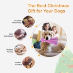 CPYOSN Dog Squeaky Toys Octopus - No Stuffing Crinkle Plush Dog Toys for Puppy Teething, Durable Interactive Dog Chew Toys for Small, Medium and Large Dogs Training and Reduce Boredom, 2 Pack - Image 3