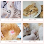 ANWA 2 Pack Cat Recovery Suit - Breathable Cat Onesie for Cats After Surgery Female, Kitten Surgery Recovery Suit Female Abdominal Wounds - Image 3