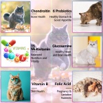 Cat Multivitamin,15 in 1 Cat Vitamins Liquid Drops Supplements for Heart Health, Bones, Joint, Skin & Coat, Bladder, Immune System Support 60ml - Image 3