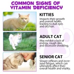 Cat Multivitamin,15 in 1 Cat Vitamins Liquid Drops Supplements for Heart Health, Bones, Joint, Skin & Coat, Bladder, Immune System Support 60ml - Image 4