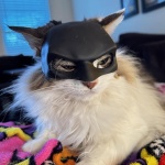 Cat Mask Cosplay, Cat Halloween Costumes, Funny Cat Costumes Accessories (Large) - Image 2