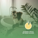 Bark2Basics Salon Scents Pet Grooming Cologne - 8 oz, Natural Professional Groomer Perfume for Dogs and Cats, Long Lasting, Deodorizing, (Vanilla Black Raspberry) - Image 3