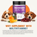 24-in-1 Dog Vitamins and Supplements 200 Ct Dogs Multivitamin Chewable Contain Chondroitin Probiotics Omega-3 Glucosamine for Dogs Skin Coat Heart Joint Gut Liver Brain Eyes Immune Support - Chicken - Image 5