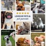 Veterinary Formula Clinical Care Ear Therapy Wipes, 100ct – Cat and Dog Ear Cleaner – Help Relieve Itchy Ears Quickly & Effectively Remove Dirt, Debris, and Foul Odor - Image 3