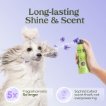 PAWFUME Dog Detangler Grooming Spray, Royal Lavender, 1-Pack – Keeps Pups Fresh All Day – Hypoallergenic, Alcohol-Free, Detangling & Moisturizing – Salon-Quality Dog Necessities for Coat & Fur Care - Image 6