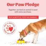 SKOUT'S HONOR Probiotic Pet Deodorizer Spray- Hydrating Daily-Use with Avocado Oil & Omega-3s, Microbiome Friendly Certiified, Paraben & Sulfate-Free, 97% Natural, 8oz, Sunkissed Coconut - Image 2