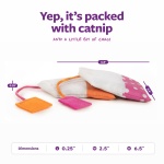 SmartyKat (2 Count Tea Teazers Catnip Cat Toys - Pink/Orange, 2 Count - Image 6
