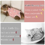 ANWA 2 Pack Cat Recovery Suit - Breathable Cat Onesie for Cats After Surgery Female, Kitten Surgery Recovery Suit Female Abdominal Wounds - Image 2