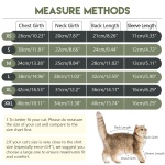 Sticky Cat Clothes Stretchy, Sphynx Hairless Sweater & Pajamas for Cats only, Soft Cat Onesie for Cats After Surgery Female Male & Hair Loss Prevention, Green XS - Image 4