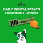 Greenies Regular Dental Dog Treats, Pumpkin Spice, Limited Edition, 12 oz. Pack (12 Treats) - Image 6