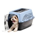 Petmate Dog Crates for Small Dogs & Cat Carriers, Two-Door Plastic Pet Kennel, Top & Front Loading, Made in USA, 24", Blue - Image 4