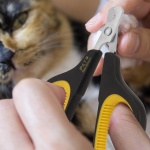 Cat Nail Clippers by Pet Republique – Professional Stainless-Steel Nail Clipper for Cats, Kittens, Hamster, Rabbits, Birds, & Small Breed Animals Claw Trimmer (Black+Yellow) - Image 6