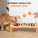 Elevated Cat Food Bowl, 3 Stainless Steel Raised Cat Bowls with Stand, 15°Tilted Cats Bowl for Small Dog, Cats Food and Water Bowl Set, Anti Vomitting, Whisker Fatigue and Dishwasher Safe (Natural) - Image 4