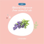 kin+kind Dog Deodorizing Spray - Safe, Natural, & Easy to Use Pet Odor Eliminator, Premium Cat/Dog Detangler Spray Formula Made w/Aloe, Dog Deodorizer for Smelly Dogs/Cats Made in The USA (12 fl oz) - Image 3