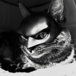 Cat Mask Cosplay, Cat Halloween Costumes, Funny Cat Costumes Accessories (Large) - Image 4