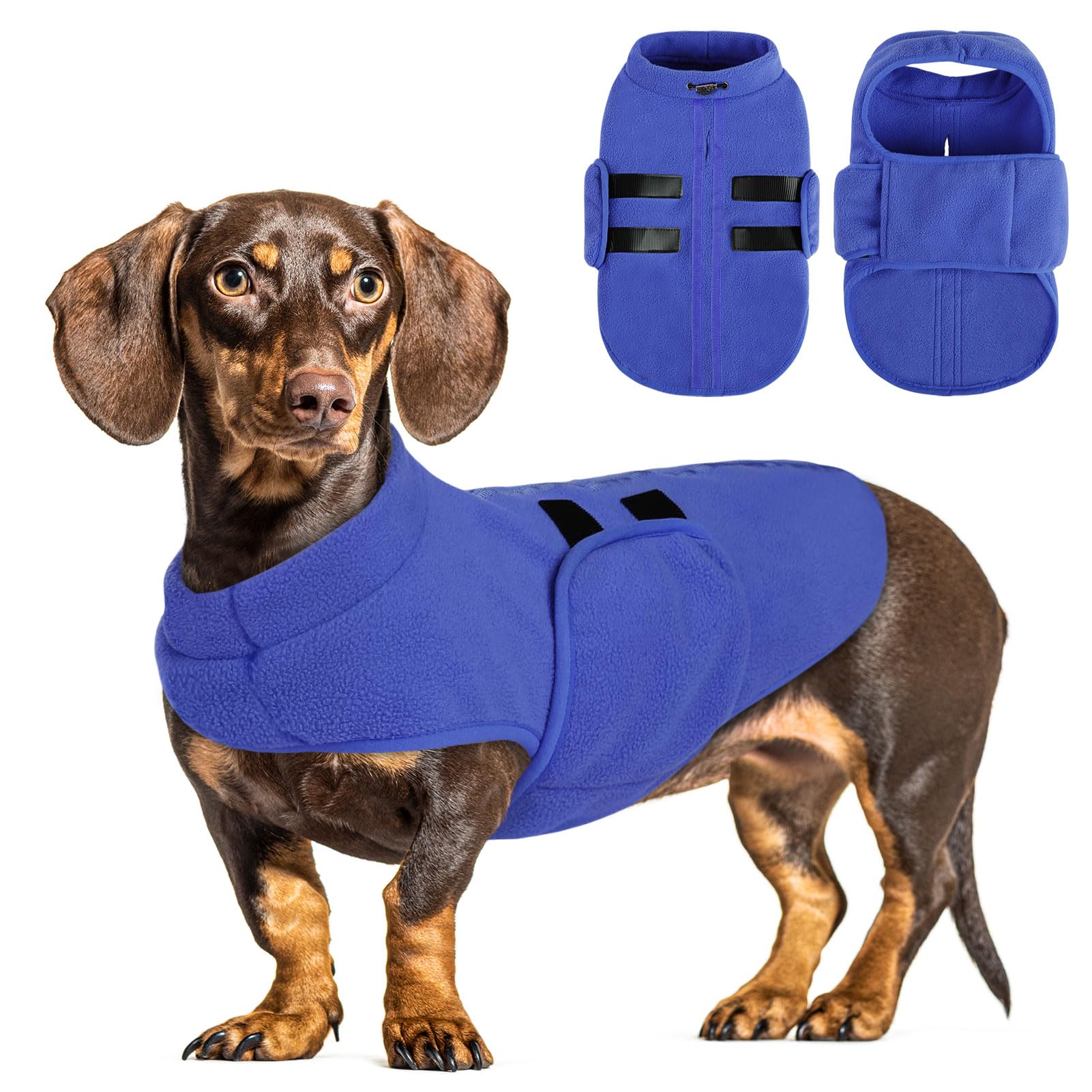 71voJSv7nHL Queenmore Soft Fleece Dog Jacket, Warm Winter Coat with Leash Hole, Dachshund Sweaters for Small Dogs Cats Boy or Girl (Blue, S) - Image 1