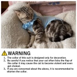 Cat Recovery Suit for Abdominal Wounds and Skin Diseases,Breathable Surgical Recovery Shirt After Surgery Wear Anti Licking Wounds,E-Collar Alternative for Female Cats Kitten(RSC01-orange-m) - Image 3