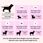 2 Pieces Dog Sweater for Small Dogs Chihuahua Clothes Spring Winter Cute Knitwear Turtleneck Thick Warm Clothes for Yorkie Cat Extra Small Dog Clothes (XX-Small) - Image 2