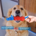 petizer Dog Toys for Aggressive Chewers, Dog Teething Chew Toy, Tough Rubber Nylon Chew Toy,IndestructibleToy for Medium & Large Breeds,Red and Blue Alligator - Image 7