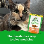 Greenies Feline Pill Pockets for Cats Natural Soft Cat Treats, Chicken Flavor, 3 oz. Pouch (85 Treats) - Image 10