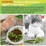 Hkpetie 30g Cat Grass Sticks, Delicious Cat Grass Teething Stick Edible Cats Chew Toy Cat Treats Snack for Teeth Cleaning and Hairball Removal - Image 6