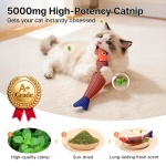 Potaroma Cat Toys Saury Fish, 3 Pack, Catnip Crinkle Sound, Soft and Durable, Interactive Kitten Kicker for Indoor Kitty Exercise 9.4 Inches for All Breeds - Image 6