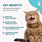 Cat Dental Care Supplement for Bad Breath, Tartar & Gum Support - Natural Cat Teeth Cleaning Oral Tablets Provide Eating & Gum Comfort, Teeth Wellness and Plaque Control, Tiny Dissolvable 400 Pills - Image 7