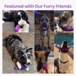 HGB Tough Dog Chew Toys for Aggressive Chewers, Squeaky Indestructible Dog Toy for Large Dogs to Keep Them Busy & Reduce Boredom for Small, Medium, Large Breed, Bacon Flavor - Image 3