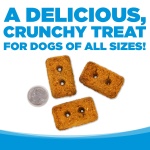 NutriSource Grain-Free Dog Treats, Chicken Biscuits, 14oz - Image 3