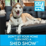 FUR4 deShedding Dog Brush for Short Hair Dogs – Pet Hair Brush with 4 Carbon Fiber Edges – deShedding Tool Removes Loose Fur – Gentle & Effective Dog Grooming Brush for Shedding - Image 4