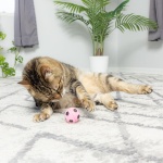 SPOT Sponge Soccer Ball Cat Toys - Interactive and Colorful Plush Toy, Fun for Cats and Kittens to Bat and Chase, Keep Cats Entertained - 1.5" Assorted 4- Pack - Image 4