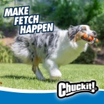 Chuckit! Interactive Dog Toy Ultra Fetch Stick - 12 Inch Outdoor Dog Toy for All Breed Sizes - Image 6