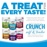 NutriSource Grain-Free Dog Treats, Chicken Biscuits, 14oz - Image 4