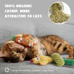 Pawsible Cat Toys for Indoor Cats, 100% Pure Organic Catnip-Filled Toys Without Cotton, Interactive Cactus Kitten Toy for Anxiety Relief, Soft Cute Teething &Chew Toys, 5 Pack - Image 3