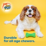 Hartz DuraPlay Bone Squeaky Latex Dog Toy for Medium Breeds, 3 Pack - Image 6