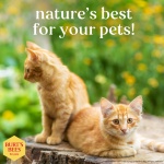 Burt's Bees for Pets Tearless Kitten Shampoo with Buttermilk, 99.3% Natural Origin Formulas, Pet Shampoo for Cats, Gentle Cat Shampoo, Cat Shampoo for Itchy Skin, 10 oz - Image 2
