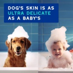 DOUXO® Skin & Coat SPA - Ultra-Safe Odor Control Dog Shampoo for Smelly Dogs, 16 fl oz, Cleans and Hydrates The Skin, Removes Odor, Leaves The Coat Soft and Smelling Great, Skin-Friendly Formula - Image 6