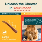 REXIPETS 100% Natural - Elk Antlers for Dogs - Naturally Shed in USA - Long Lasting Chews for Aggressive Chewers - Natural, Real Dog Antler Treats & Toys - Dog Chews - No Odor & No Mess - Large - Image 4