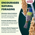 Living World - Millet Spray for Birds, 3.5 Oz – Premium Treat for Budgies, Canaries, Finches, Cockatiels and Other Pet Birds - Image 3